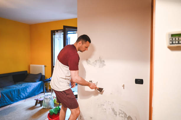 Best Mold Damage Repair  in St Louis, MO